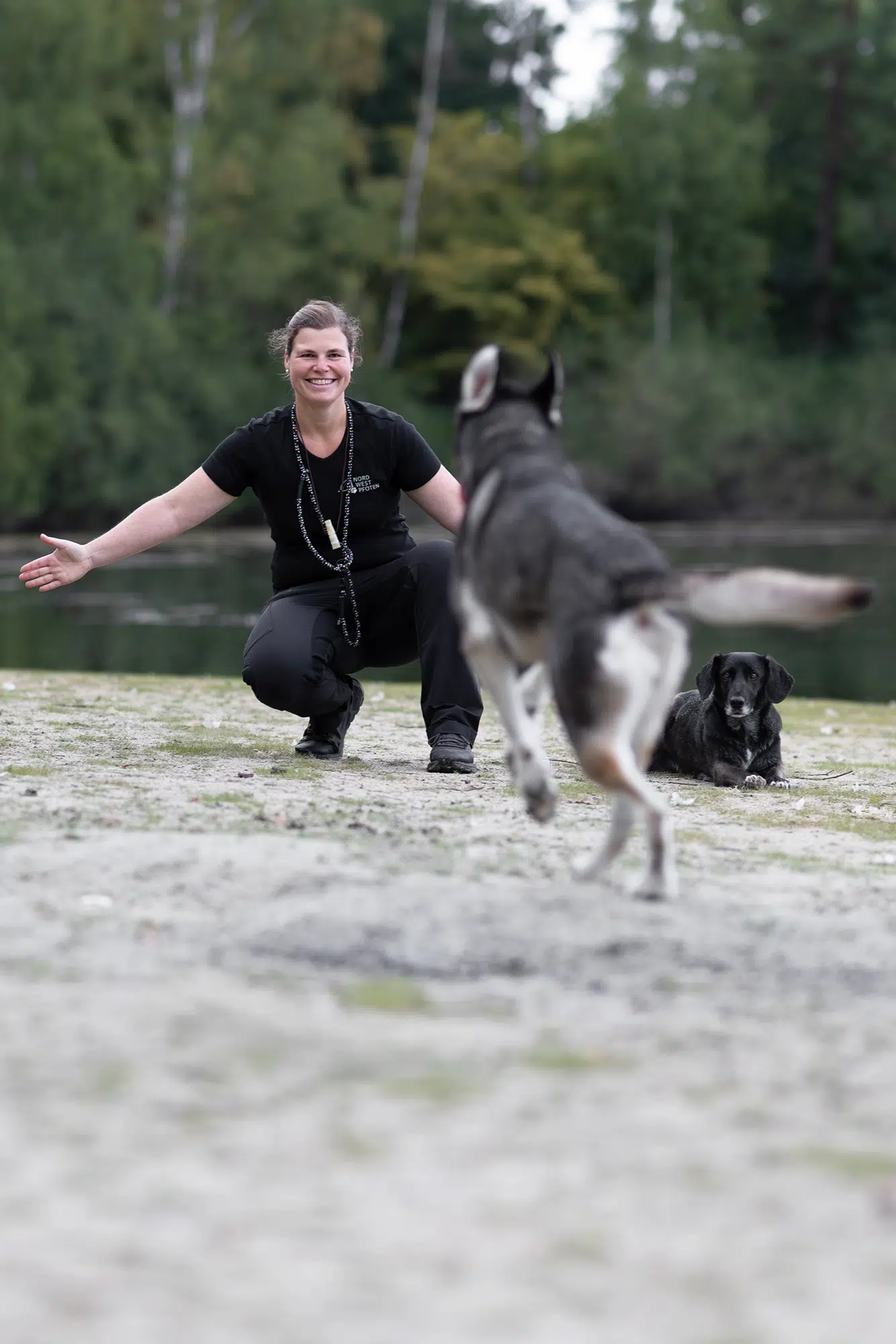 Eine Frau kniet sich auf den Boden und öffnet die Arme, während ein Hund auf sie zuläuft.