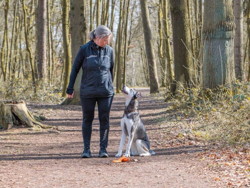 anti-giftkoeder-training-nordwestpfoten-anzeigeverhalten-hund