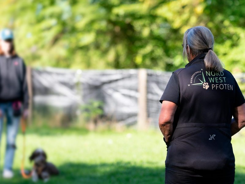 Trainerin Britta leitet eine Trainingseinheit in der Hundeschule NordwestPfoten.